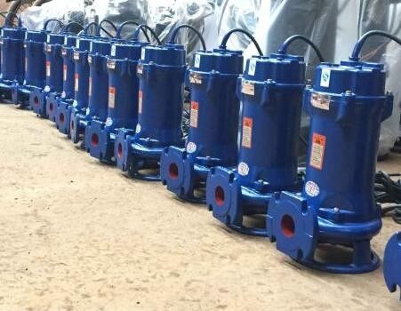 500QW2200-10-110 Pompa Air Limb Submersible Budidaya